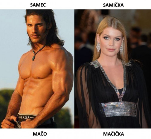 Definícia